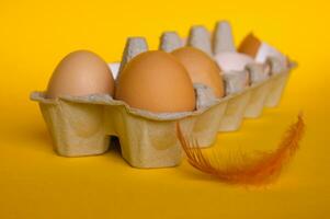 View of brown chicken eggs in an open egg carton isolated on yellow. photo