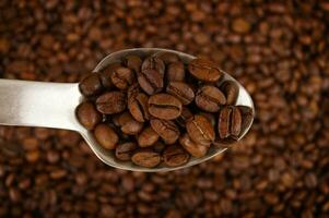 A mixture of different types of freshly roasted brown coffee beans on a spoon. photo