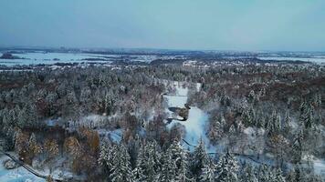 aereo orbitante Visualizza di nevoso parco con torrente e alberi nel inverno video