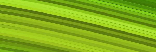 abstract green elegant vibrant background vector