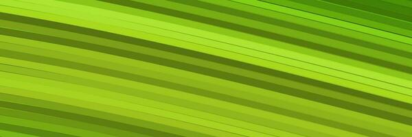 abstract green elegant vibrant background vector