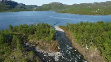 aéreo Visão tiro do lindo verde árvores e montanhas, Noruega. video