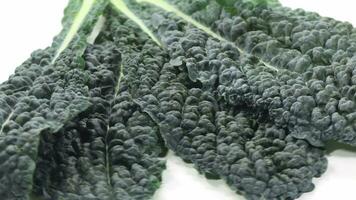 cultivation cut kale leaves video