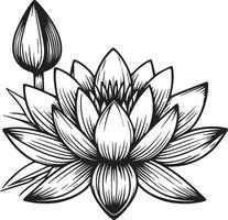 Cute flower coloring pages, waterlily drawing, waterlily line drawing, Hand drawn botanical spring elements bouquet of lotus line art coloring page, easy flower drawing. waterlily flower art vector