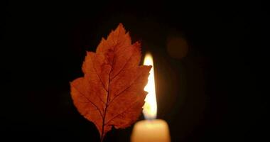 een herfst droog blad door de licht van een kaars video