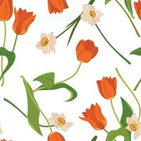 Seamless pattern with tulips and daffodils. Vector spring flowers on a white background. Illustration for printing on fabric, wallpaper, wrapping paper. Flat style.