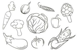 Vector vegetables set in line art style. Collection of vegetables. Line art icons of eggplant, artichoke, corn, cabbage.