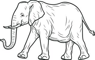 vector aislado uno soltero caminando grande elefante lado ver incoloro negro y blanco contorno línea fácil dibujo. ai generado ilustración.