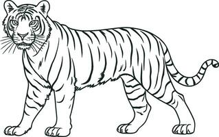 black and white outline illustration of the walking tiger. AI generated illustration. vector