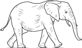 vector aislado uno soltero caminando grande elefante lado ver incoloro negro y blanco contorno línea fácil dibujo. ai generado ilustración.