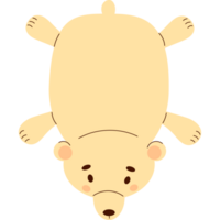 bear teddy plush   pillow png