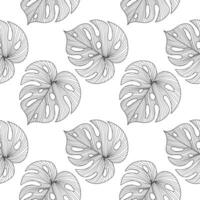 Seamless pattern with line art tropical leaves of monstera. Gray and white design. Print, textile, pattern, vector