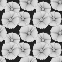 Seamless pattern with contour line stroke tropical hibiscus flowers. Gray and white design. Print, textile, pattern, vector