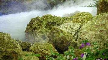 il mattina nebbia galleggia sopra il terra, Basso nuvole flusso attraverso il alberi, autunno alberi e nuvole fluente attraverso, sfondo video, magico nebbia galleggiante fra rocce video