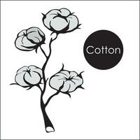 Branch of cotton with flowers and tangles with leaves. wildflowers with stems, floral and botanical elements in sketch style. isolated. vector