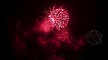 réel feux d'artifice afficher fête coloré Nouveau année feu d'artifice video