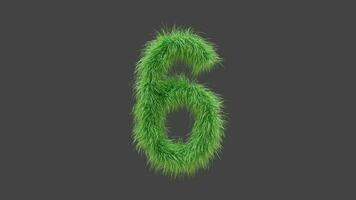 3D animation green grass Number 6 video