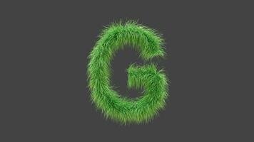 3D animation green grass letter G video