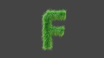 3d animation vert herbe lettre F video