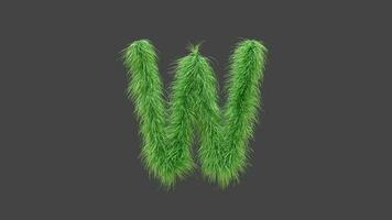 3D animation green grass letter W video