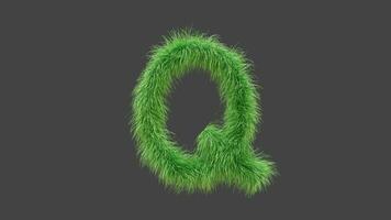 3D animation green grass letter Q video
