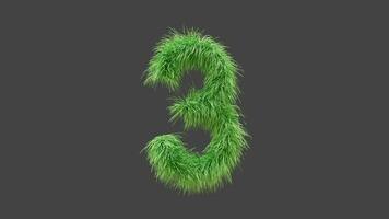 3D animation green grass Number 3 video