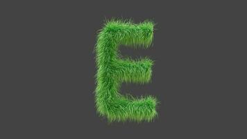 3D animation green grass letter E video