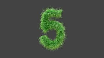 3D animation green grass Number 5 video