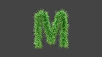 3D animation green grass letter M video