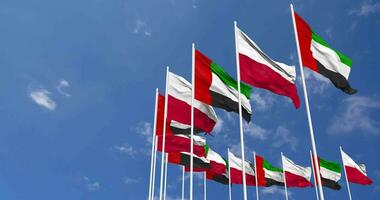 Polonia e unito arabo emirati, Emirati Arabi Uniti bandiere agitando insieme nel il cielo, senza soluzione di continuità ciclo continuo nel vento, spazio su sinistra lato per design o informazione, 3d interpretazione video