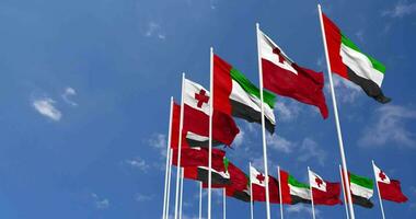 tonga och förenad arab emirater, uae flaggor vinka tillsammans i de himmel, sömlös slinga i vind, Plats på vänster sida för design eller information, 3d tolkning video