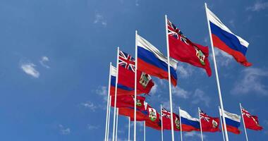 Bermuda and France Flags Waving Together in the Sky, Seamless Loop in Wind, Space on Left Side for Design or Information, 3D Rendering video