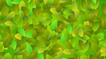 Bright summer leaves abstract video animation