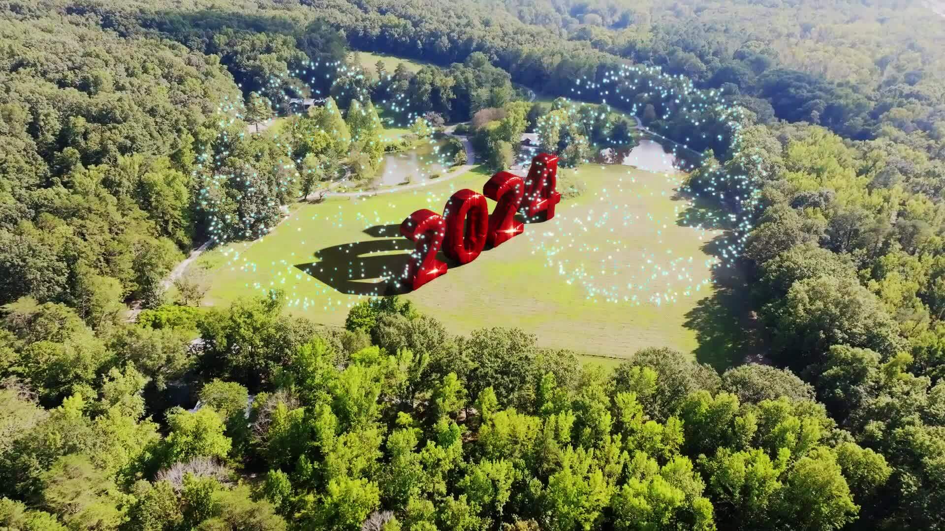 Electric Forest Stock Video Footage for Free Download