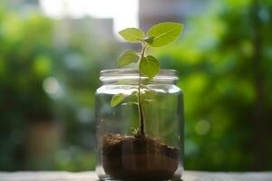 AI generated growing plant in a glass jar. Neural network AI generated photo