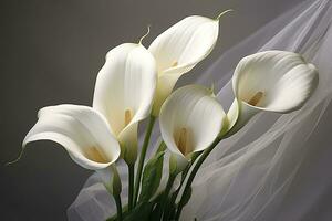 ai generado blanco Boda naturaleza lirio belleza florecer planta flor flora calla. ai generado foto