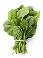 AI generated Bunch of spinach isolated on white background. AI Generated photo