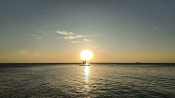 solnedgång paddleboarding silhuetter i lugn vattnen video