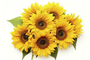 AI generated Sunflowers isolated on white background. AI Generated photo