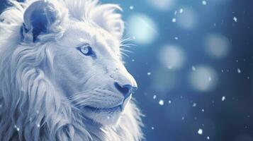 AI generated A White Lion Captured in Blue Iridescent Hues, Dark Romantic Style, Close-Up Shots, Featuring Glitter, Bokeh, and a Clean, Minimalist Aesthetic. photo