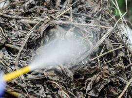 Hornet nest under the roof of the barn. Polist Wasps Nest photo