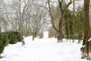 Monument to an unknown soldier in the park photo