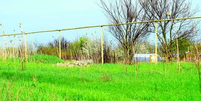 Gas pipe on the background of grass photo