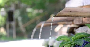 A slow motion of water fall with hydrangea flowers at the purification trough close up video