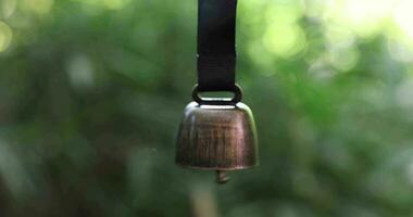 A bear bell with hand at the green forest in Autumn close up video