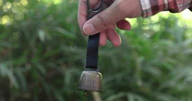 A bear bell with hand at the green forest in Autumn close up video