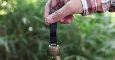 A bear bell with hand at the green forest in Autumn close up video