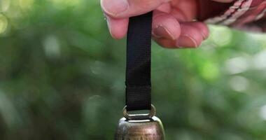 A bear bell with hand at the green forest in Autumn close up video