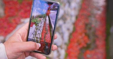 une téléphone intelligent tournage empilé en haut rouge feuilles dans le étroit gouttière dans l'automne video