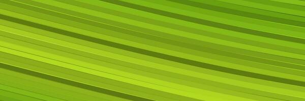 abstract green elegant vibrant background vector